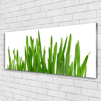 Bild på akrylglas Gräs På Väggen
