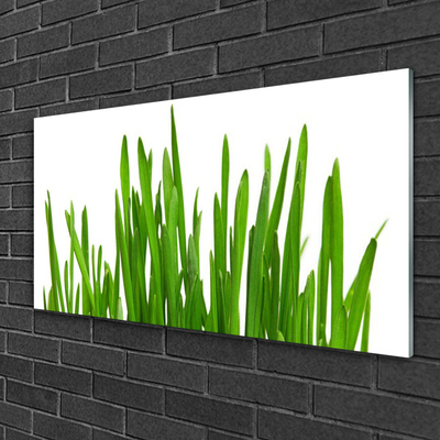 Bild på akrylglas Gräs På Väggen