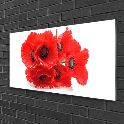Tavla plexiglas Blommor På Väggen