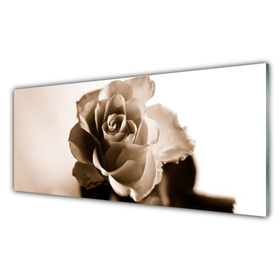 Plexiglas tavla Rose Flower Plant