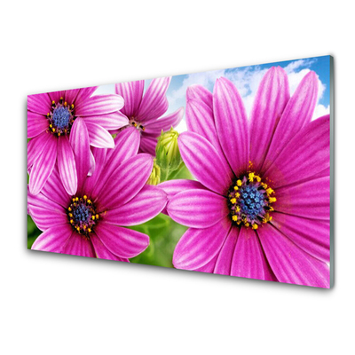Akrylglastavla Blommor På Väggen
