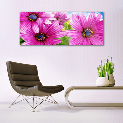 Akrylglastavla Blommor På Väggen
