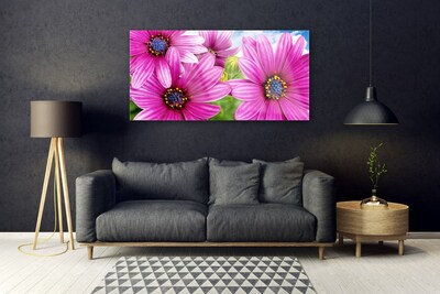 Akrylglastavla Blommor På Väggen