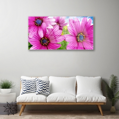 Akrylglastavla Blommor På Väggen