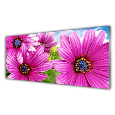 Akrylglastavla Blommor På Väggen