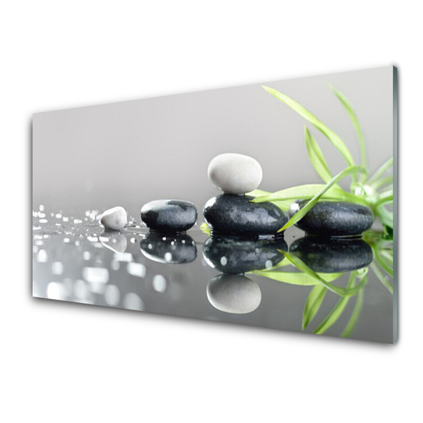 Plexiglas tavla Zen Grass Spa stenar