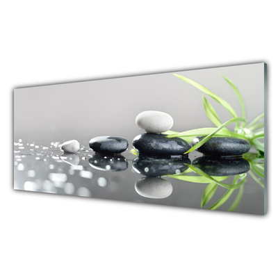 Plexiglas tavla Zen Grass Spa stenar