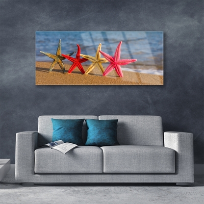 Tavla plexiglas Beach Starfish Art
