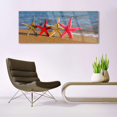 Tavla plexiglas Beach Starfish Art