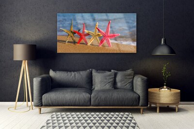 Tavla plexiglas Beach Starfish Art