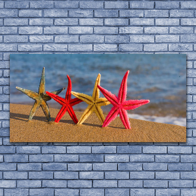 Tavla plexiglas Beach Starfish Art