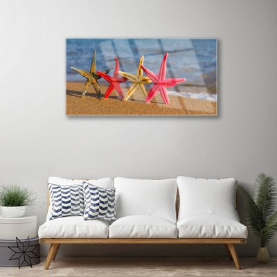 Tavla plexiglas Beach Starfish Art