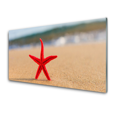 Plexiglas tavla Beach Starfish Art