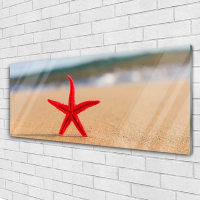 Plexiglas tavla Beach Starfish Art