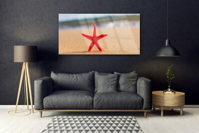 Plexiglas tavla Beach Starfish Art