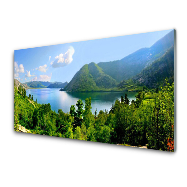 Bild på akrylglas Forest Lake bergslandskap