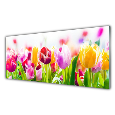 Plexiglas tavla Tulpaner Blommor