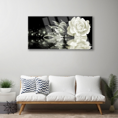 Bild på akrylglas Rose Flower Plant