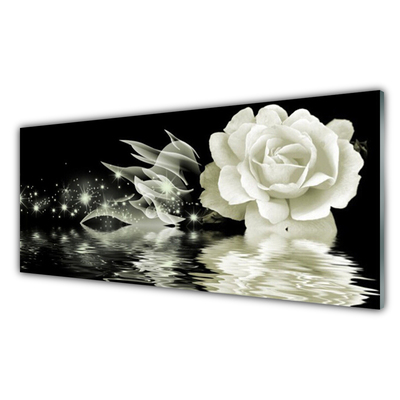 Bild på akrylglas Rose Flower Plant