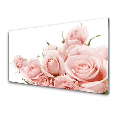 Plexiglas tavla Roses Blommor Plant