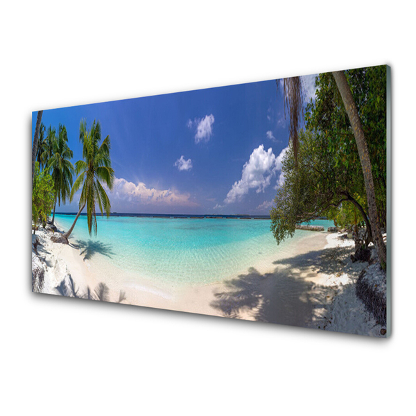 Tavla plexiglas Sea Beach Palm Tree Landskap