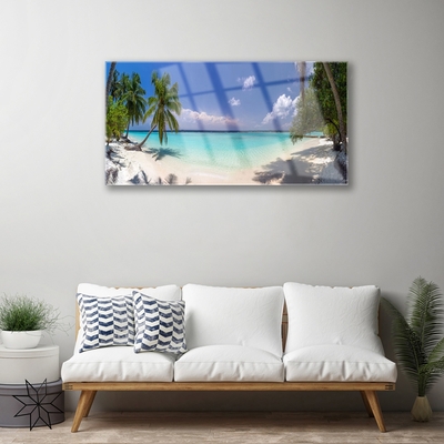 Tavla plexiglas Sea Beach Palm Tree Landskap