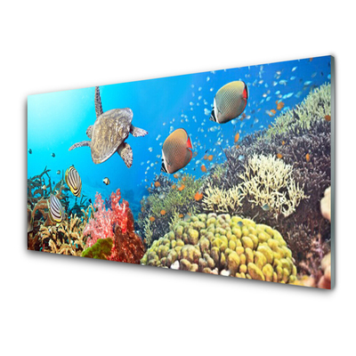 Plexiglas tavla Korallrevslandskap