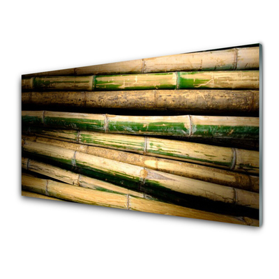 Akrylglas bild Bambu Plant Nature