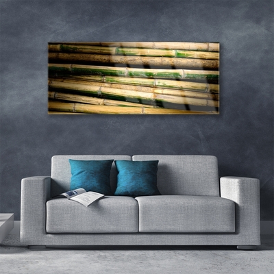 Akrylglas bild Bambu Plant Nature