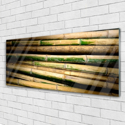 Akrylglas bild Bambu Plant Nature