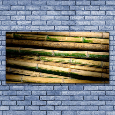 Akrylglas bild Bambu Plant Nature