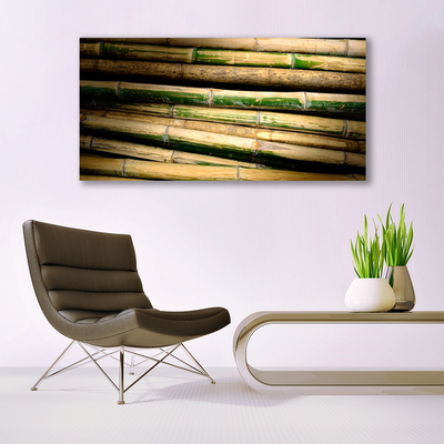 Akrylglas bild Bambu Plant Nature