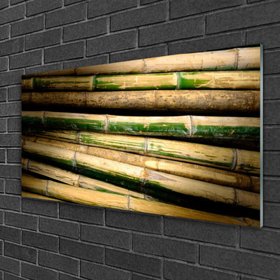 Akrylglas bild Bambu Plant Nature