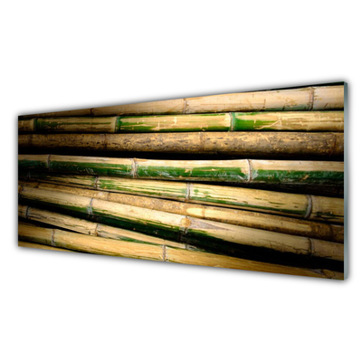 Akrylglas bild Bambu Plant Nature