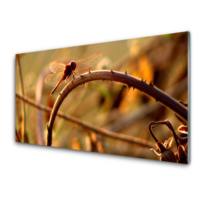 Plexiglas tavla Dragonfly Nature Plant