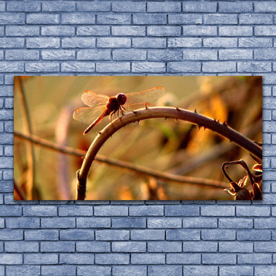 Plexiglas tavla Dragonfly Nature Plant