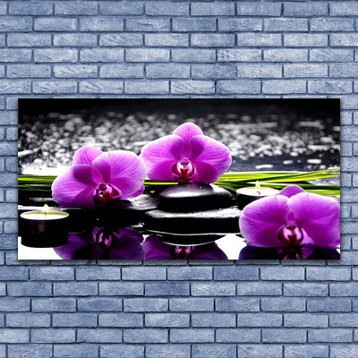 Plexiglas tavla Blomma orkidéväxt