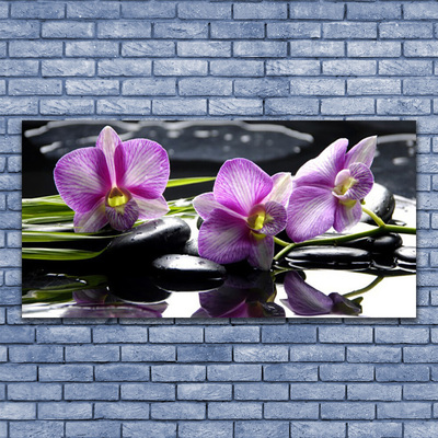 Tavla plexiglas Blomma orkidéväxt