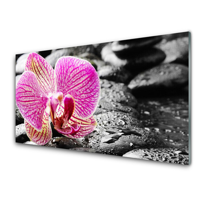 Akrylglas bild Flower Stones Orchid