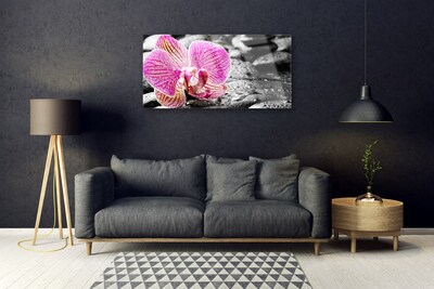 Akrylglas bild Flower Stones Orchid