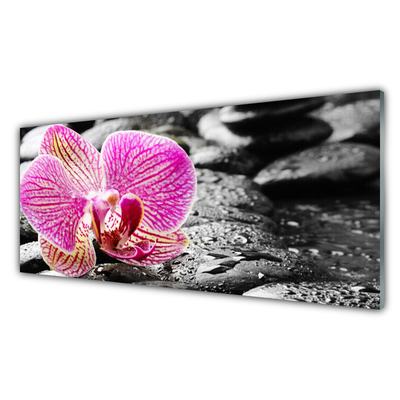 Akrylglas bild Flower Stones Orchid