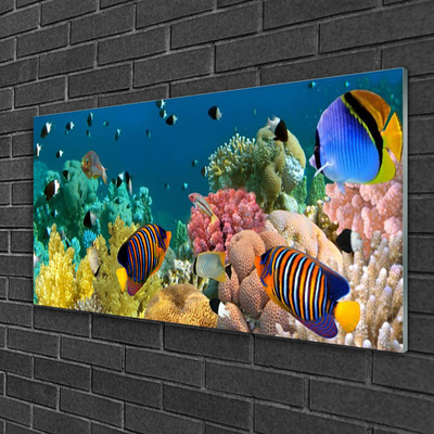 Plexiglas tavla Korallrevs natur
