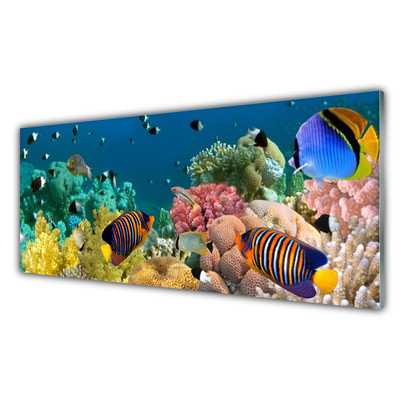 Plexiglas tavla Korallrevs natur