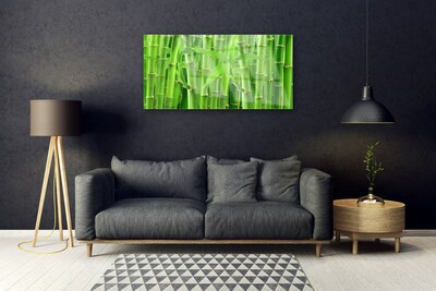 Plexiglas tavla Bambu stjälk blomma växt