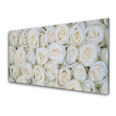 Plexiglas tavla Roses Blommor Plant