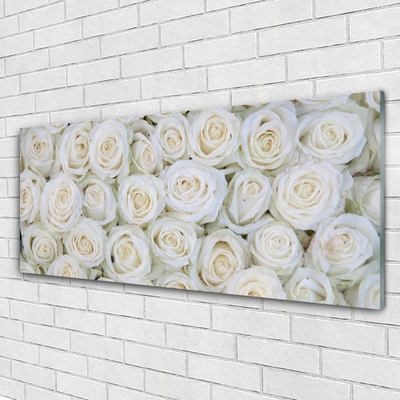 Plexiglas tavla Roses Blommor Plant