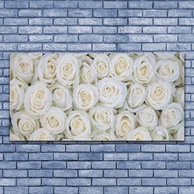 Plexiglas tavla Roses Blommor Plant