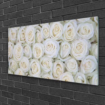 Plexiglas tavla Roses Blommor Plant