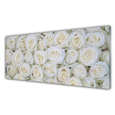 Plexiglas tavla Roses Blommor Plant