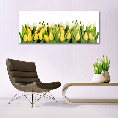 Plexiglas tavla Tulpaner Blommor Plant